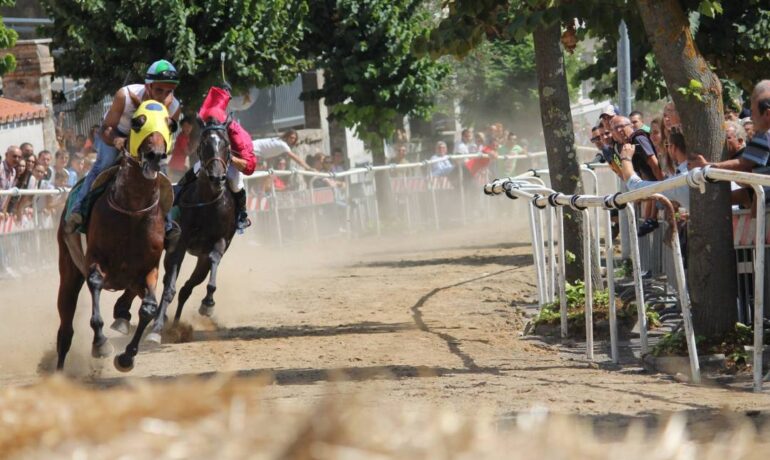 Jockey Horse Riding Race ‘DRAPPO DEI COMUNI’